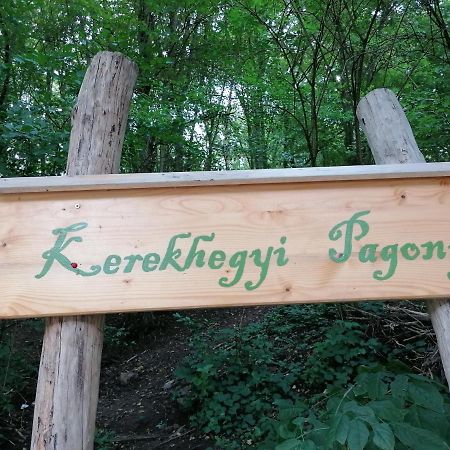 Vendégház a Kerekhegyi Pagonyhoz Apartman Zebegény Kültér fotó